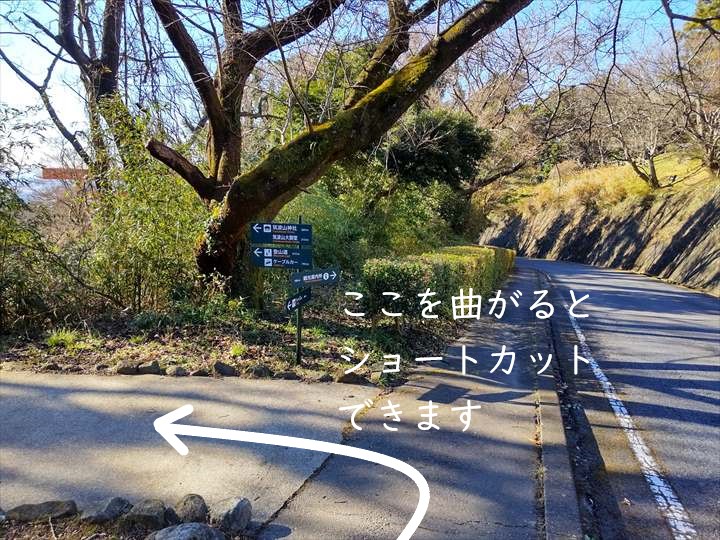 筑波山神社までの道