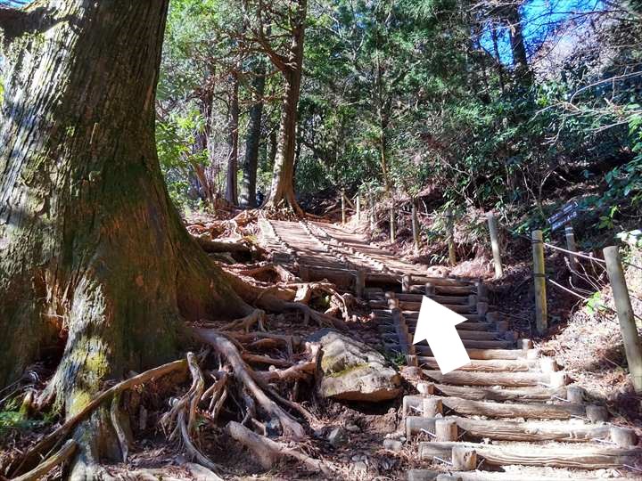 筑波山登山道　御幸ヶ原コース　途中のベンチ
