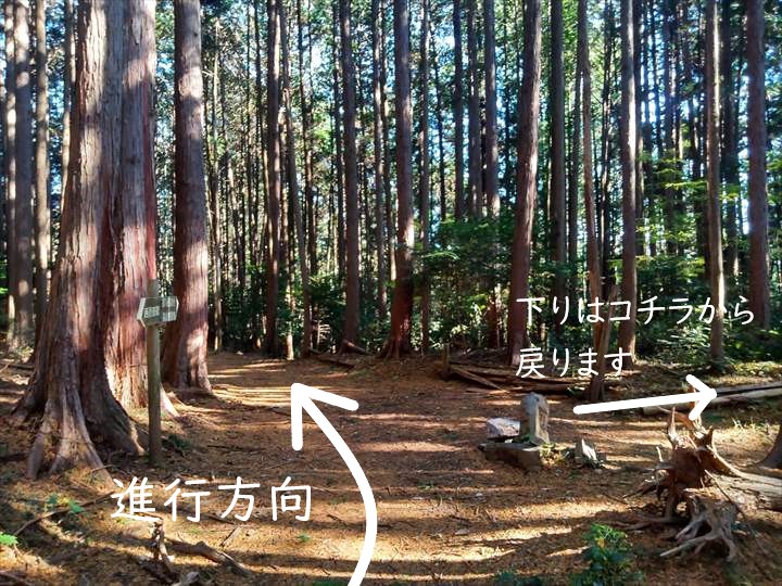 関八州見晴台　登山道　高山不動尊萩の平コース　石地蔵の分岐