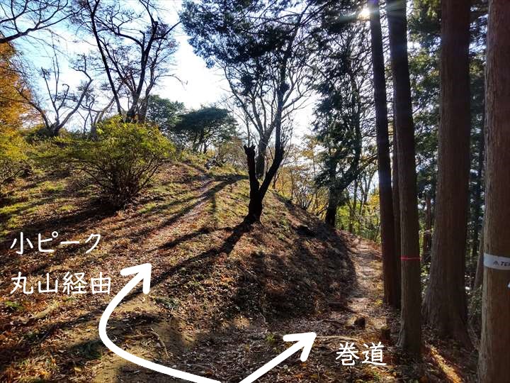 関八州見晴台　登山道