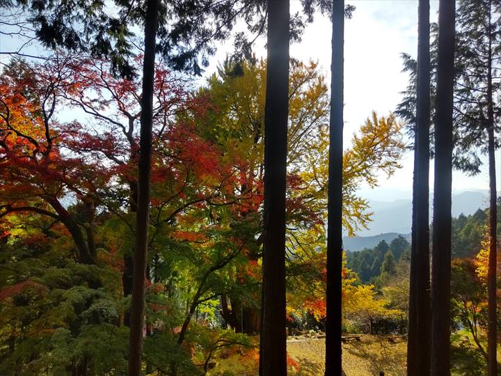関八州見晴台　登山道　高山不動尊からの景色