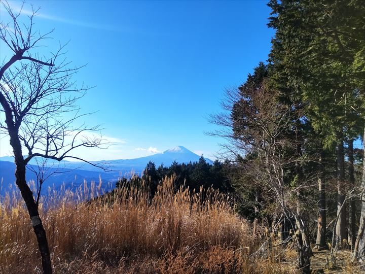 高松山　山頂