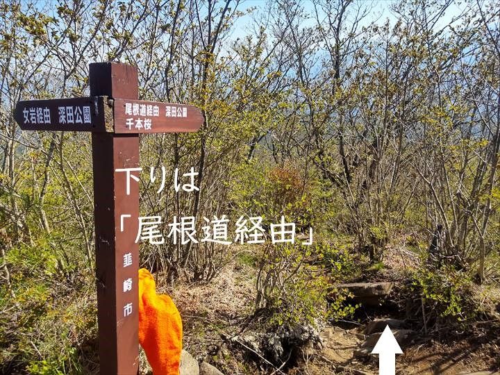 茅ヶ岳～尾根道経由～深田公園駐車場