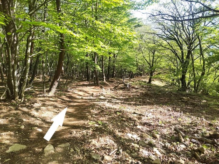 茅ヶ岳～尾根道経由～深田公園駐車場