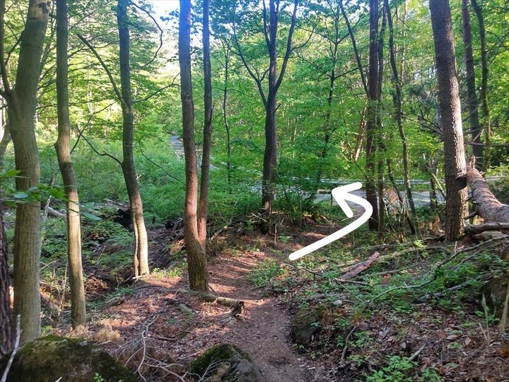 茅ヶ岳～尾根道経由～深田公園駐車場