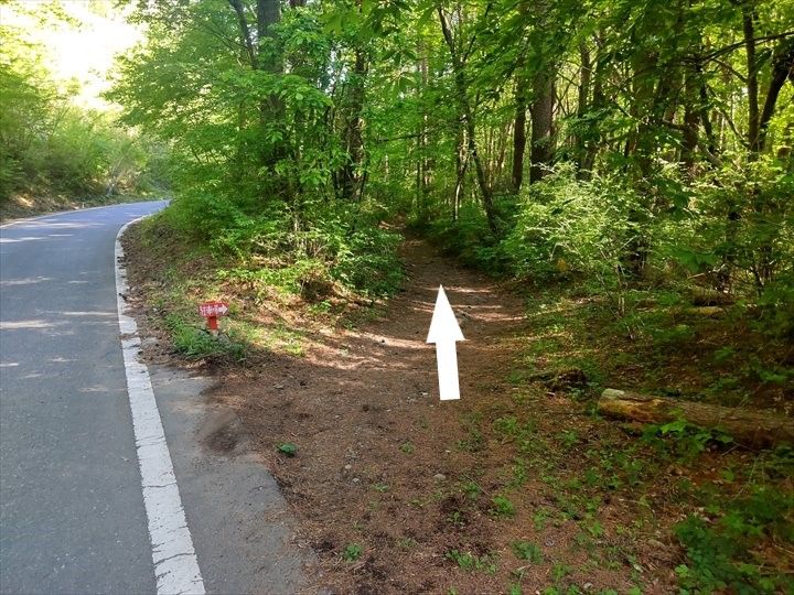 茅ヶ岳～尾根道経由～深田公園駐車場