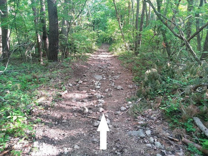 茅ヶ岳～尾根道経由～深田公園駐車場