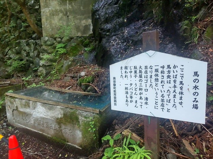 奥多摩むかし道 奥多摩湖～奥多摩駅