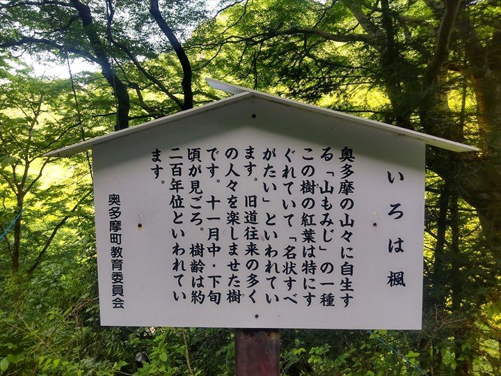 奥多摩むかし道 奥多摩湖～奥多摩駅