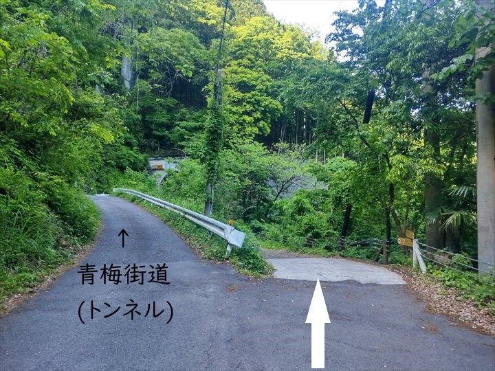 奥多摩むかし道 奥多摩湖～奥多摩駅