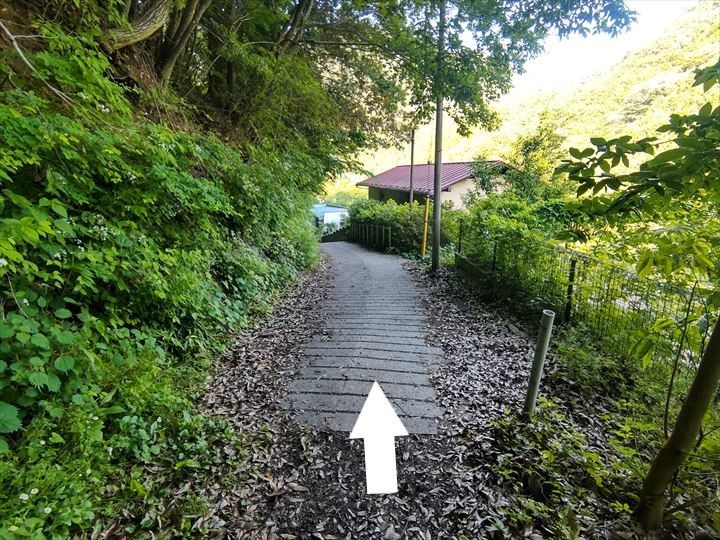 奥多摩むかし道 奥多摩湖～奥多摩駅