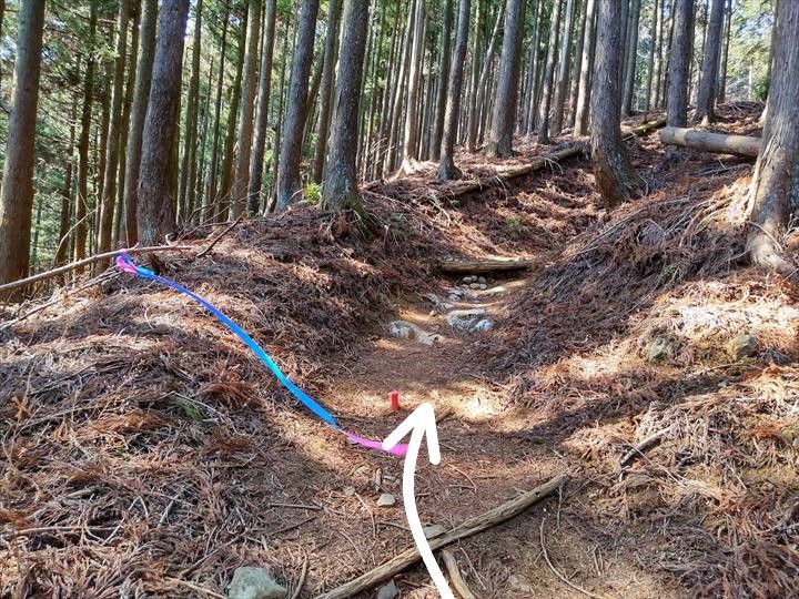 シダンゴ山・宮地山 登山道