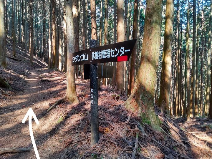 シダンゴ山・宮地山 登山道