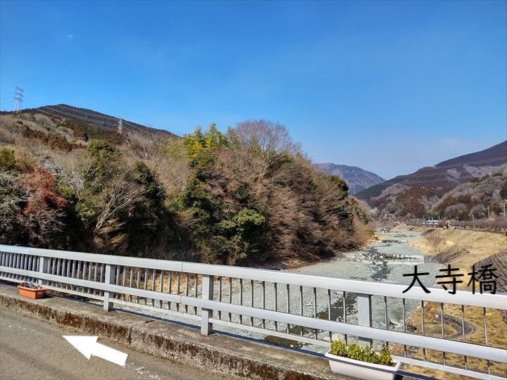 シダンゴ山・宮地山 登山道