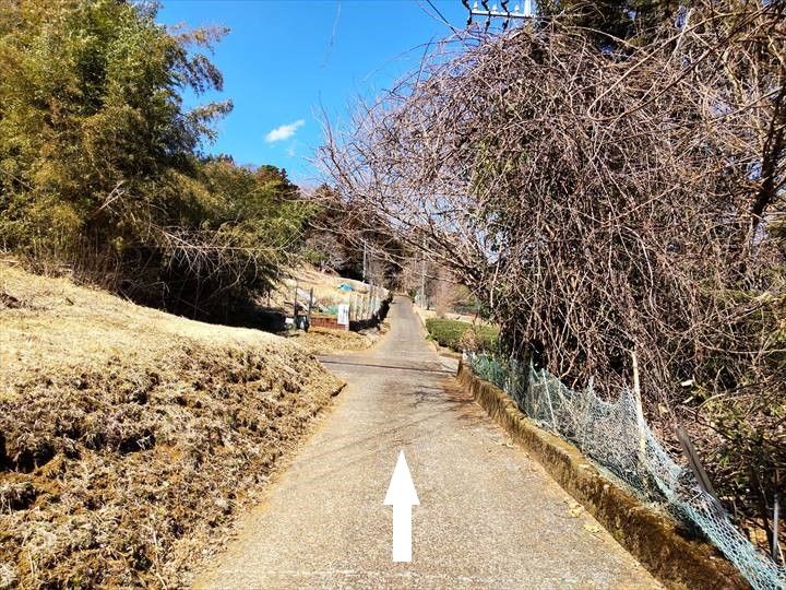 シダンゴ山・宮地山 登山道