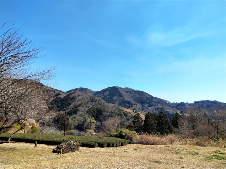 シダンゴ山・宮地山 登山道