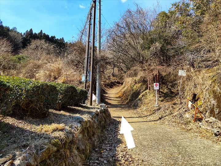 シダンゴ山・宮地山 登山道