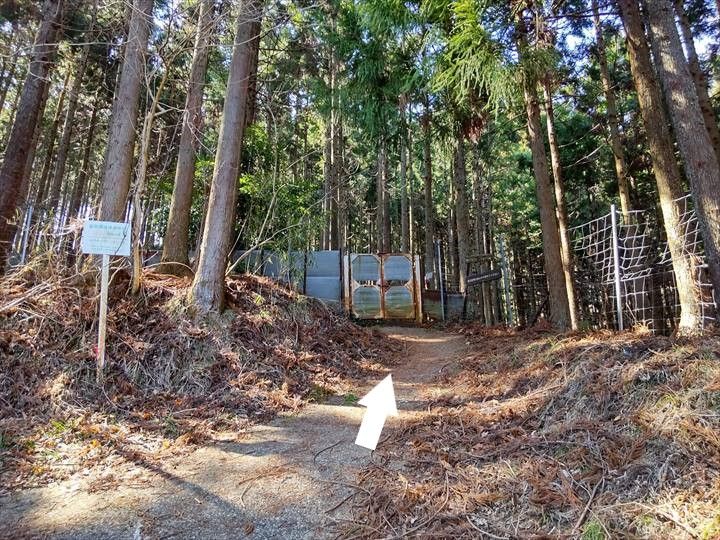 シダンゴ山・宮地山 登山道