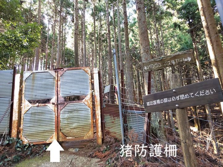 シダンゴ山・宮地山 登山道