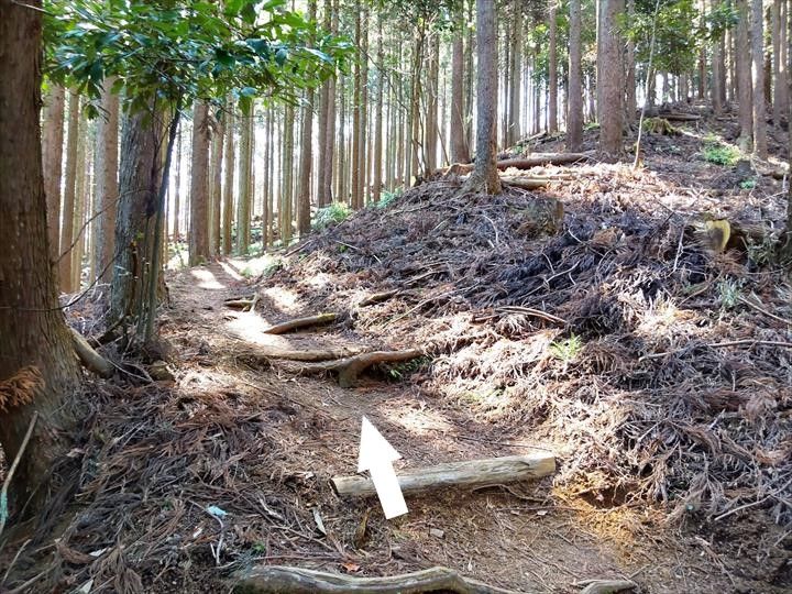 シダンゴ山・宮地山 登山道