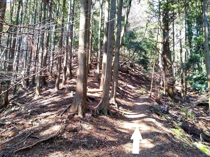 シダンゴ山・宮地山 登山道