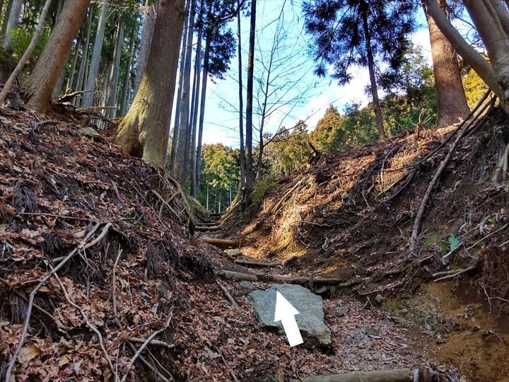 シダンゴ山・宮地山 登山道