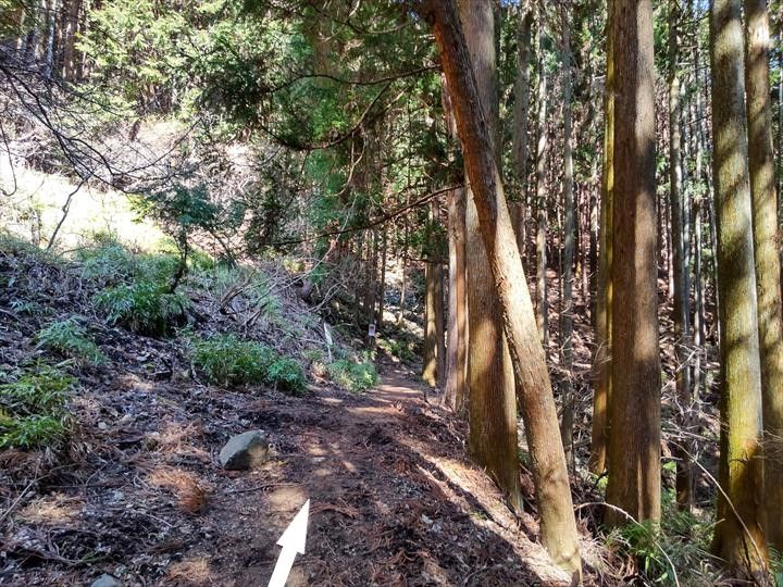 シダンゴ山・宮地山 登山道