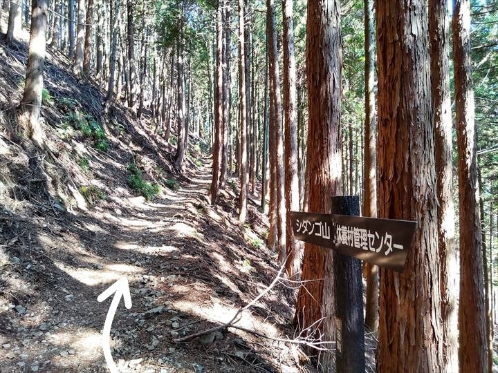 シダンゴ山・宮地山 登山道