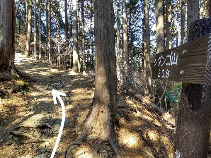 シダンゴ山・宮地山 登山道