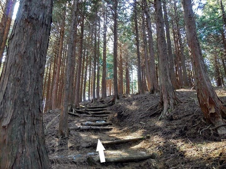 シダンゴ山・宮地山 登山道