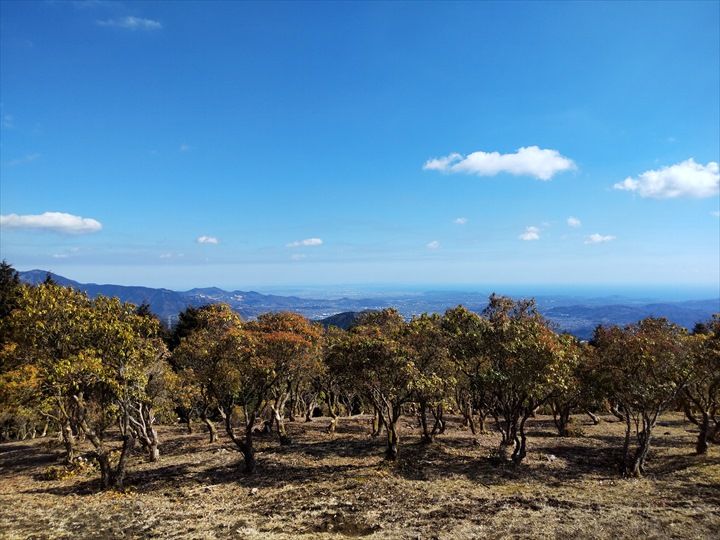 シダンゴ山