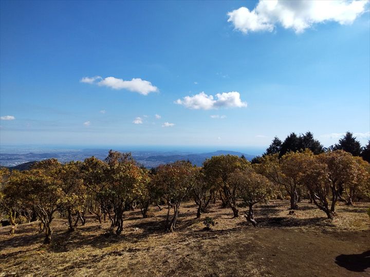 シダンゴ山