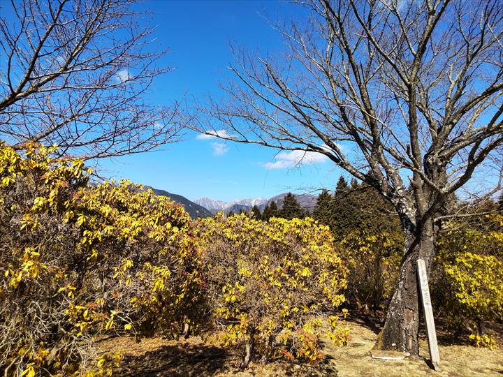 シダンゴ山