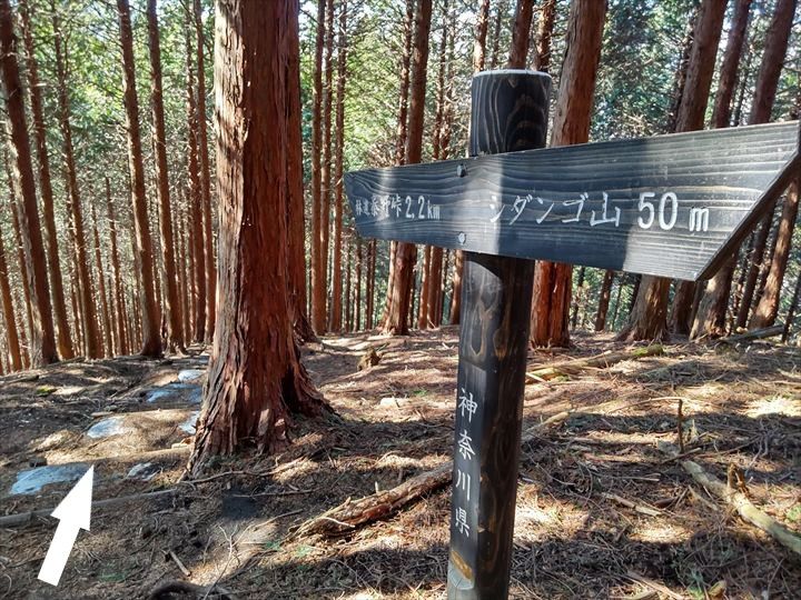 シダンゴ山・宮地山 登山道