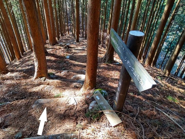 シダンゴ山・宮地山 登山道