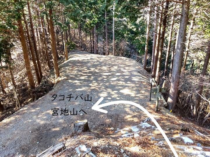 シダンゴ山・宮地山 登山道