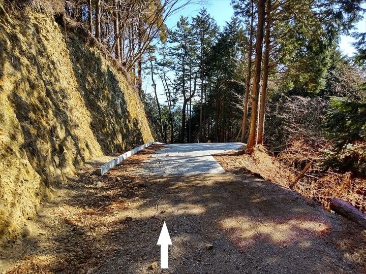 シダンゴ山・宮地山 登山道