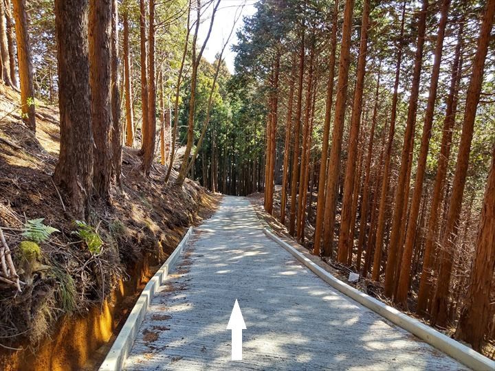 シダンゴ山・宮地山 登山道