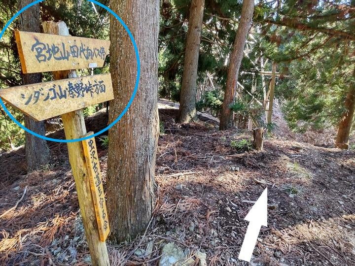 シダンゴ山・宮地山 登山道