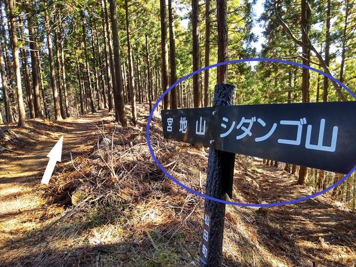 シダンゴ山・宮地山 登山道