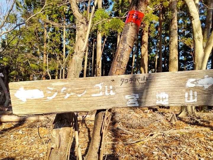 シダンゴ山・宮地山 登山道　タコチバ山