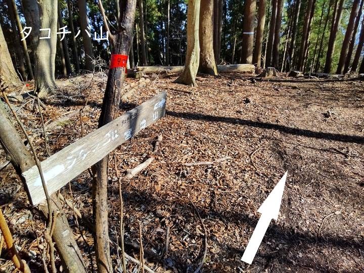 シダンゴ山・宮地山 登山道