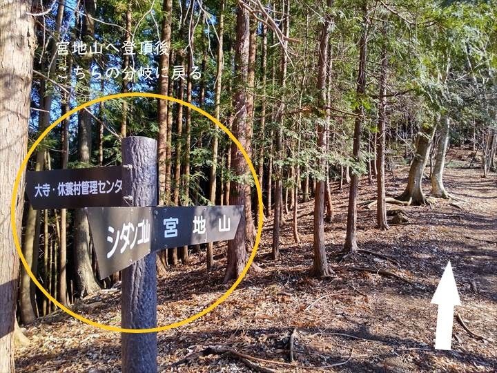 シダンゴ山・宮地山 登山道