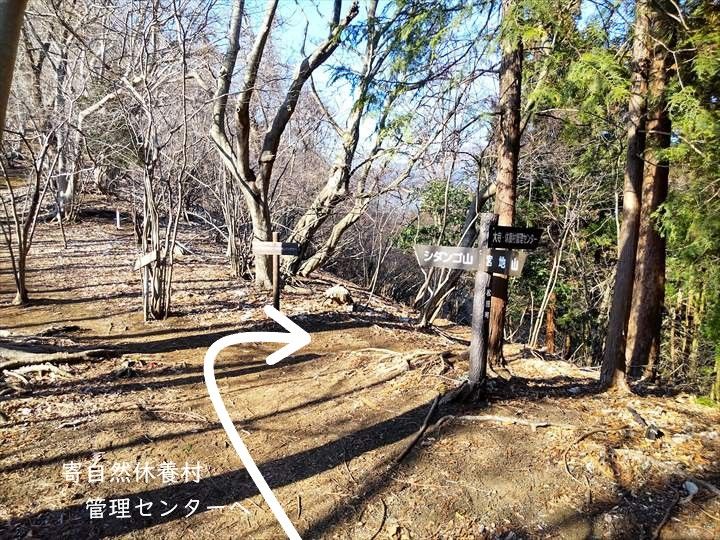 シダンゴ山・宮地山 登山道