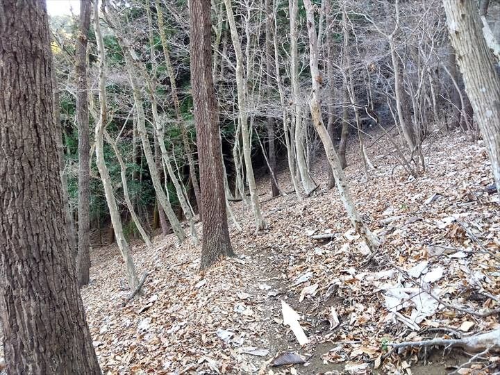 シダンゴ山・宮地山 登山道