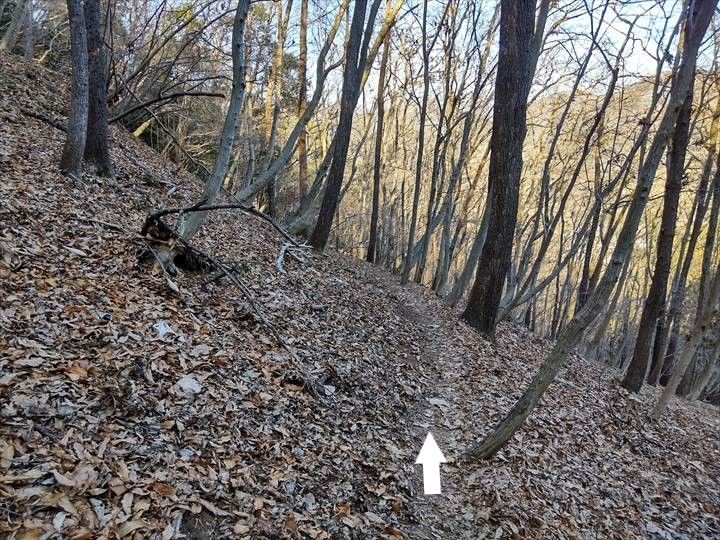 シダンゴ山・宮地山 登山道