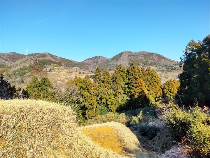 シダンゴ山・宮地山 登山道