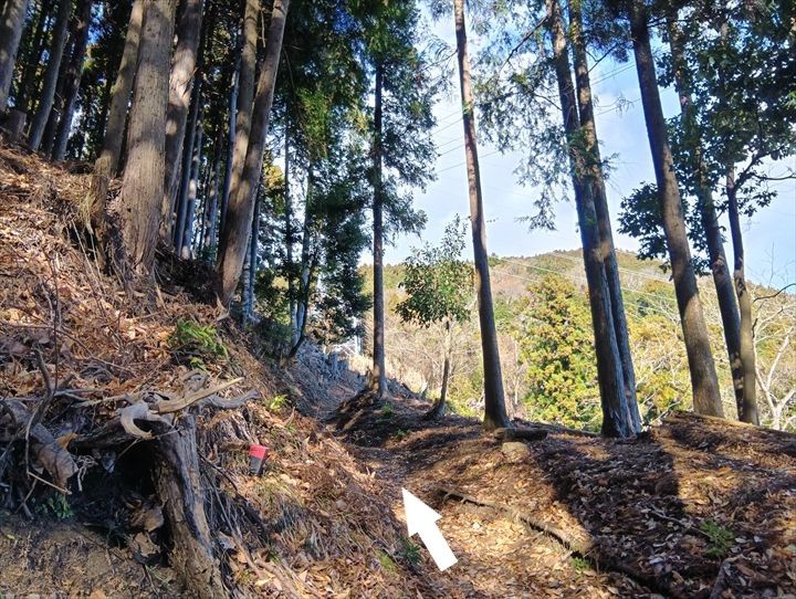 高松山登山道