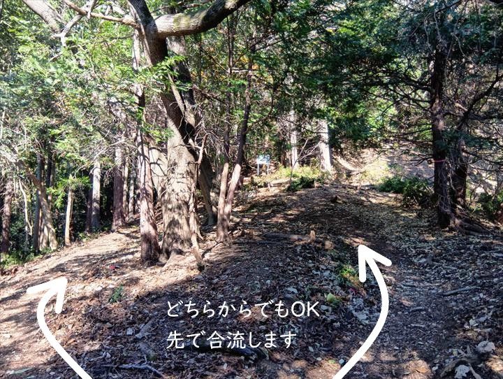 高松山登山道