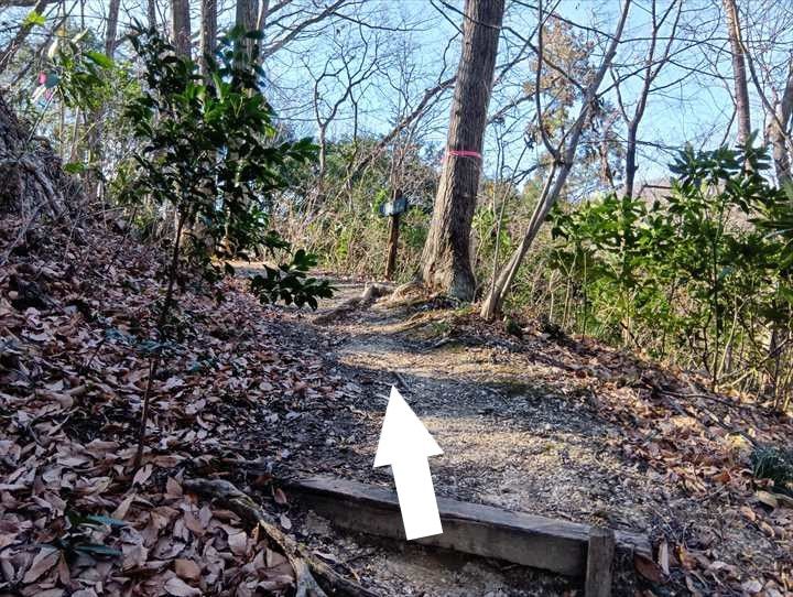 小川げんきプラザ駐車場～浅間山～西金勝山～小川げんきプラザ